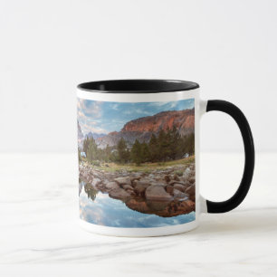 Caneca EUA, Califórnia, Floresta Nacional Inyo 15