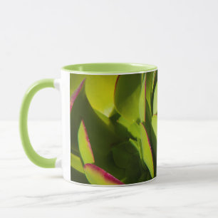 Caneca EUA, Califórnia. Grande Planta Lobelia de Perto