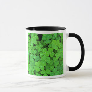 Caneca EUA, Califórnia, Jedediah Smith Rewood SP.