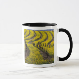 Caneca EUA, Califórnia, Napa Valley, Los Carneros Ava.