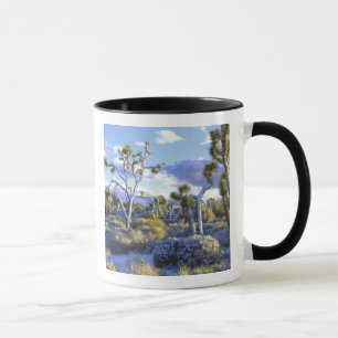 Caneca EUA, Califórnia, Parque Nacional Joshua Tree. 2