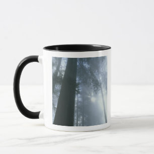 Caneca EUA, Califórnia, Parque Nacional Redwood, Del