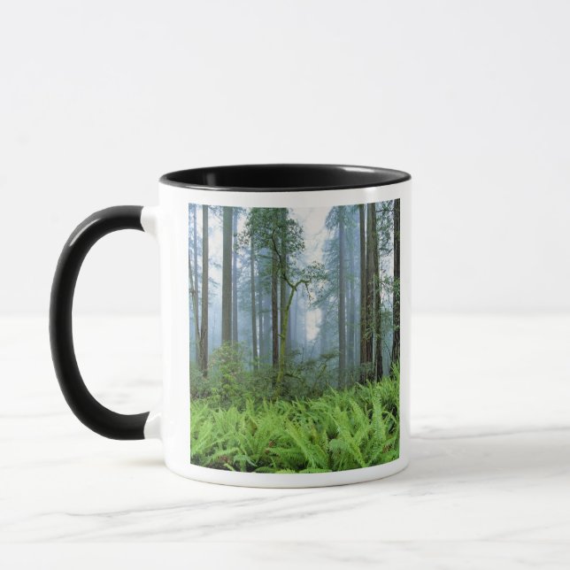 Caneca EUA, Califórnia, Redwood NP. Sequoias (Esquerda)