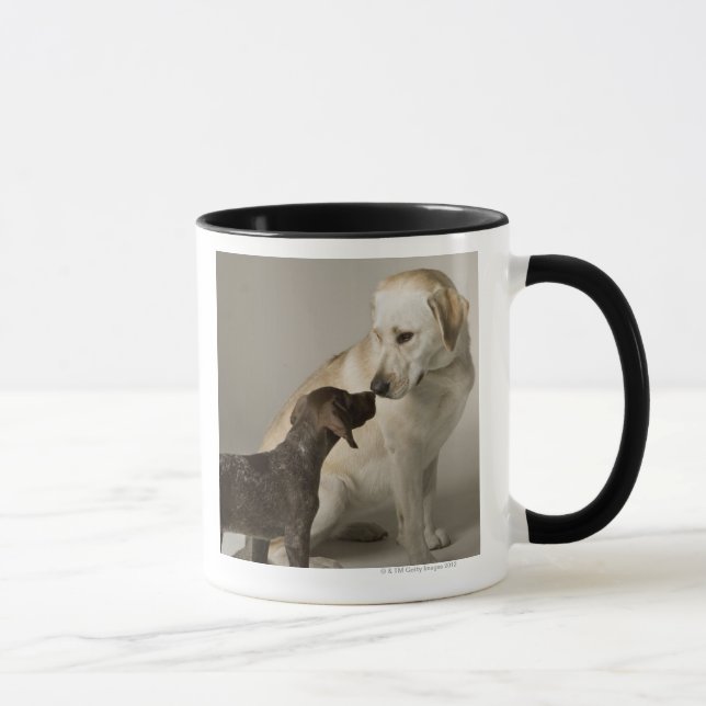 Caneca EUA, Califórnia, San Francisco (Direita)