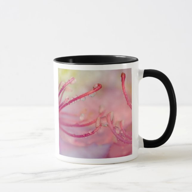 Caneca EUA, Carolina do Norte. Catawba rhododendron com (Direita)