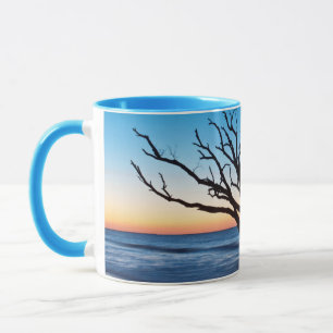 Caneca EUA, Carolina do Sul, Ilha Edisto, Botany Bay