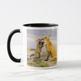 Caneca EUA, Colorado, Breckenridge. Mãe de raposa vermelh