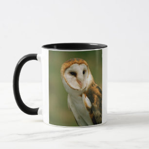 Caneca EUA, Colorado, Broomfield. Coruja-barn