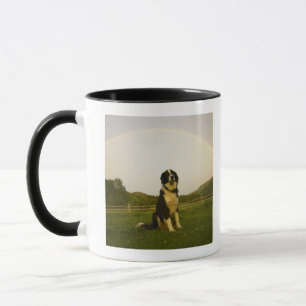 Caneca EUA, Colorado, castelo novo