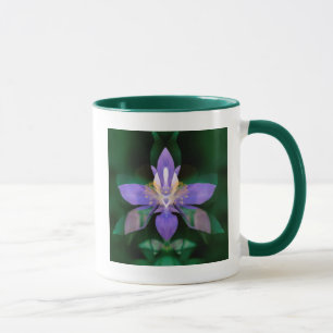 Caneca EUA, Colorado, Condado de Boulder