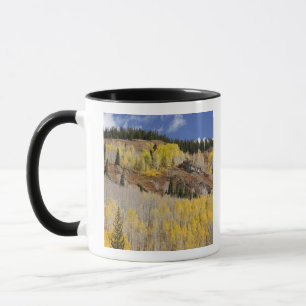 Caneca EUA, Colorado, Floresta Nacional de Gunnison, junt