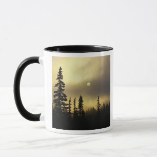 Caneca EUA, Colorado, Floresta Nacional de San Isabel.