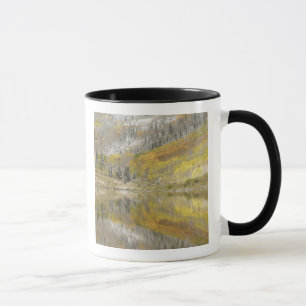 Caneca EUA, Colorado, Floresta Nacional White River, 2