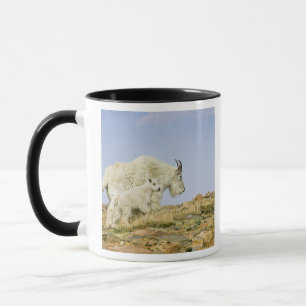 Caneca EUA, Colorado, Montanhas Rochosas, Monte Evans,