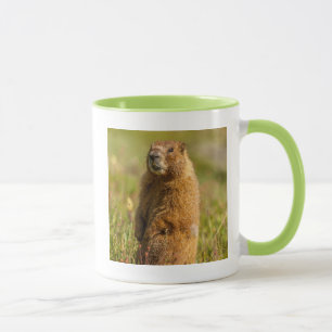 Caneca EUA, Colorado, Montanhas San Juan