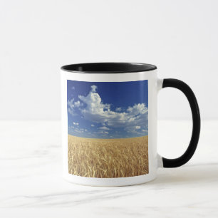 Caneca EUA, Estado de Washington, Colfax. Trigo maduro