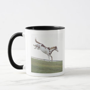 Caneca EUA, Estados de Nova Iorque, Hudson, cavalo que