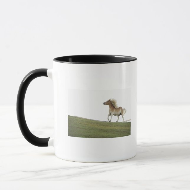 Caneca EUA, Estados de Nova Iorque, Hudson, cavalo que (Esquerda)