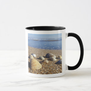 Caneca EUA, Flórida, Conchas Marinhas Costeiras