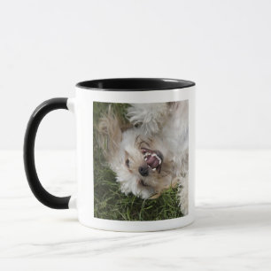 Caneca EUA, Florida, Ponte Vedra Beach