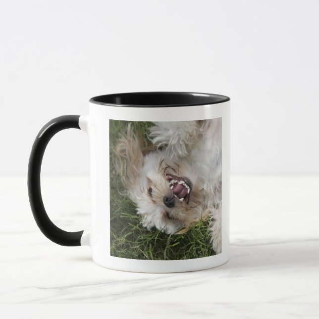Caneca EUA, Florida, Ponte Vedra Beach (Esquerda)