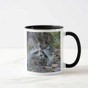 Caneca EUA, Flórida, Sanibel, Ding Darling Nacional