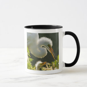 Caneca EUA, Flórida, St. Augustine, Fazenda de jacarés