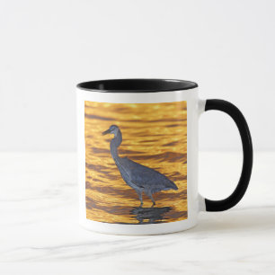 Caneca EUA, Flórida, St. Petersburg, Fort De Soto Park.