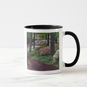 Caneca EUA, Geórgia, Callaway Gardens. Caminho