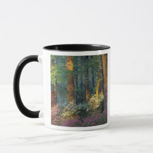 Caneca EUA, Geórgia, Jardins Callaway, floresta Azalea.