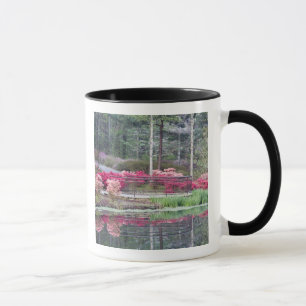 Caneca EUA, Geórgia, Pine Mountain. Área de visualização