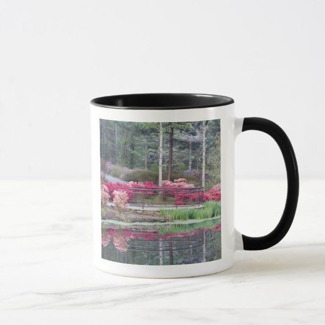 Caneca EUA, Geórgia, Pine Mountain. Área de visualização  (Direita)