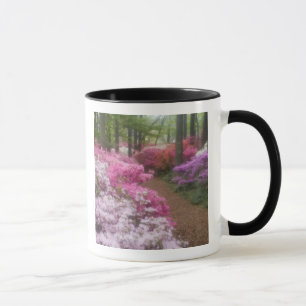 Caneca EUA; Geórgia; Pine Mountain. Azaleas às 2