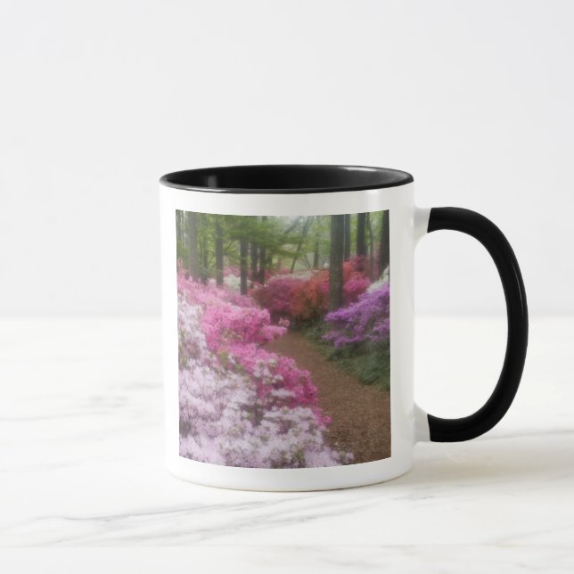 Caneca EUA; Geórgia; Pine Mountain. Azaleas às 2 (Direita)