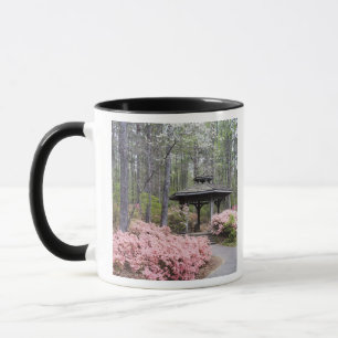 Caneca EUA, Geórgia, Pine Mountain. Um gazebo entre