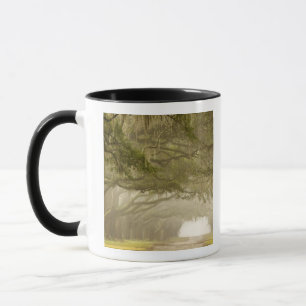 Caneca EUA, Geórgia, Savannah, Uma entrada ladeada por ca