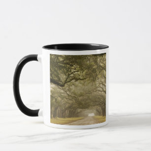Caneca EUA, Geórgia, Savannah, Uma entrada ladeada por ca