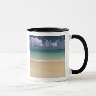 Caneca EUA, Havaí. Cena de praia