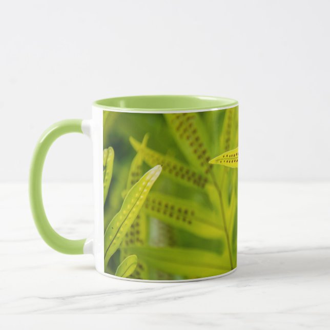 Caneca EUA, Havaí, Ilha Grande. Fern Verde Tropical (Esquerda)