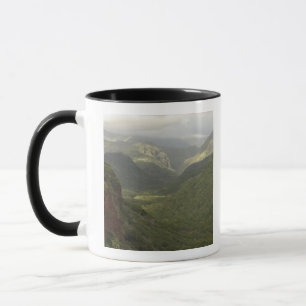 Caneca EUA, Havaí, Kauai, Canyon. (RF)