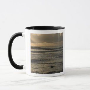 Caneca EUA, Havaí, Kauai, costa sudoeste, perto de Waimea