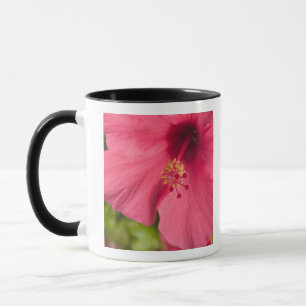 Caneca EUA, Havaí, Kauai, Hibisco