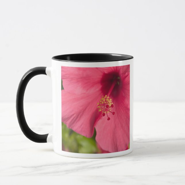 Caneca EUA, Havaí, Kauai, Hibiscus (Esquerda)