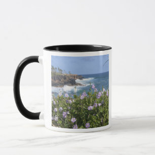 Caneca EUA, Havaí, Kauai, perto de Kapaa, noroeste