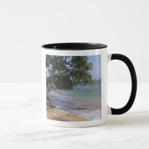 Caneca EUA, Havaí, Kauai, praia cênica. RF)