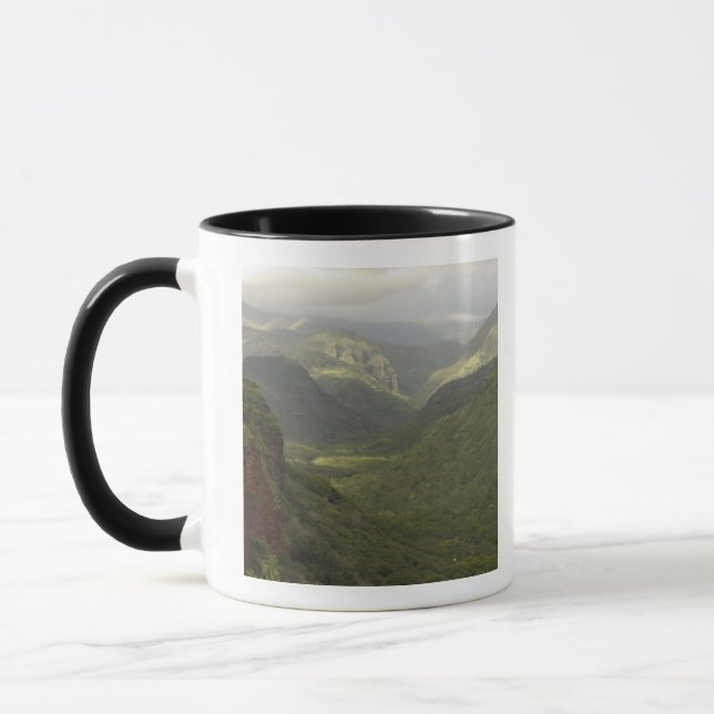 Caneca EUA, Havaí, Kauai, Vista geral do Canyon. (RF) (Esquerda)