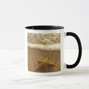 Caneca EUA, Havaí, Maui, Maui, Kihei, Starfish e