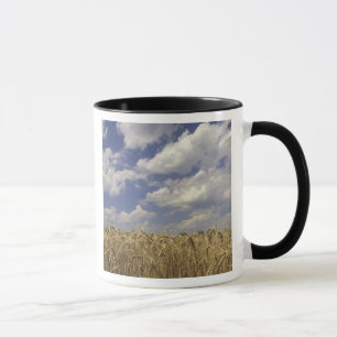Caneca EUA, Kentucky, Louisville. Cultura de trigo e
