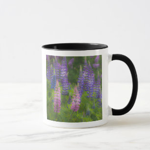 Caneca EUA, Maine, Southwest Harbor. Tainho em flor
