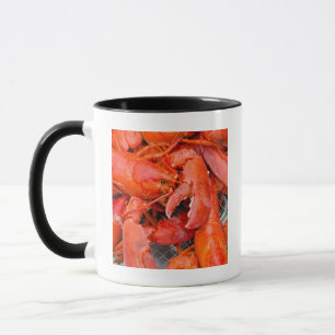Caneca EUA, Massachusetts, Ilha de Martha's Vineyard